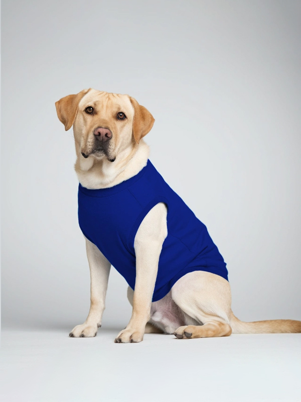 Unisex Dog T-Shirts | DT59